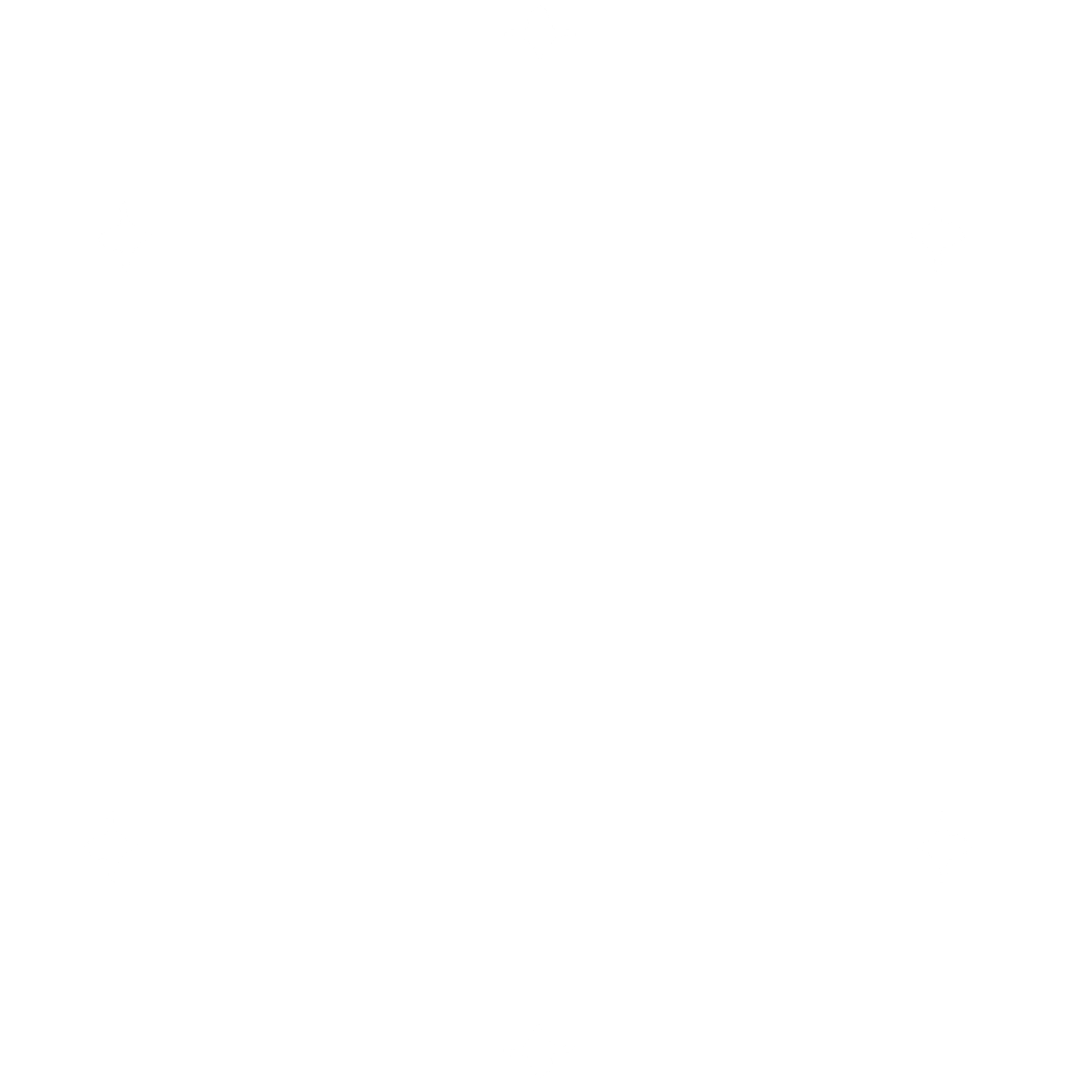 visual world
